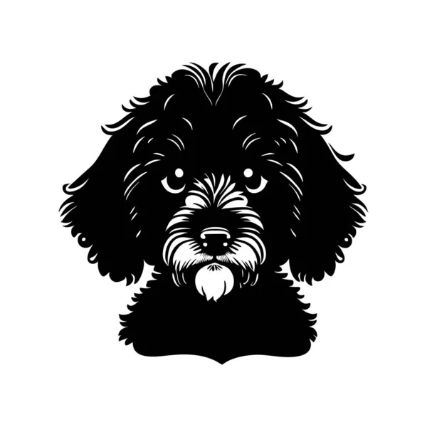 Simple Black White Ink Style Portrait French Barbet Pedigree Dog — Stock Vector