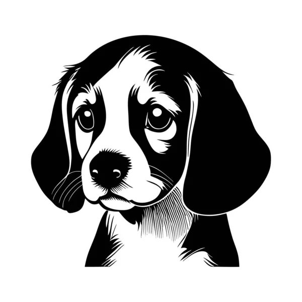 Simple Black White Ink Style Portrait Beagle Hound Pedigree Dog — Stock Vector