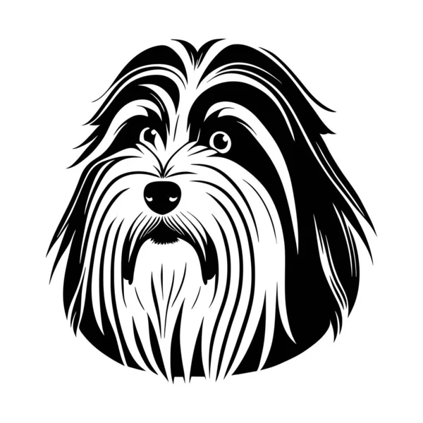 Simple Black White Ink Style Portrait Bearded Collie Pedigree Dog — Stock Vector