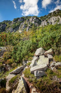Summer view of the mountain landscape in the Giant Mountains