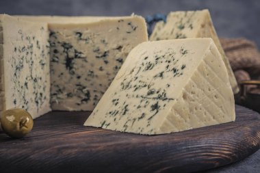 Cheese collection, piece of blue cheese made from cow milk close up