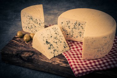 Cheese collection, piece of blue cheese made from cow milk close up