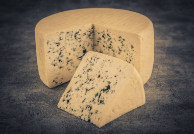 Cheese collection, piece of blue cheese made from cow milk close up