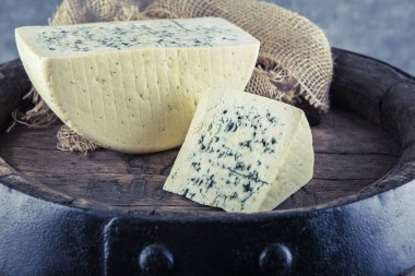 Cheese collection, piece of blue cheese made from cow milk close up