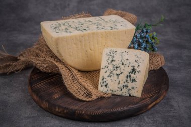 Cheese collection, piece of blue cheese made from cow milk close up