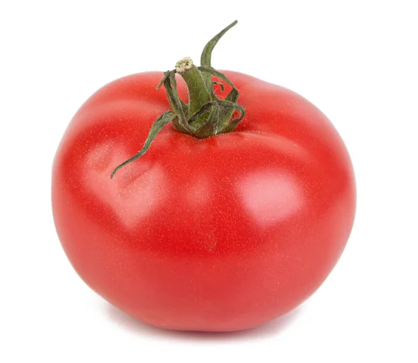 Tomate Isoliert Auf Weißem Hintergrund Ausgeschnitten Frische Rote Tomaten — Stockfoto