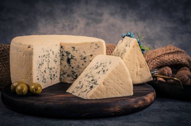 Peynir koleksiyonu, bir parça küflü Gorgonzola peyniri.