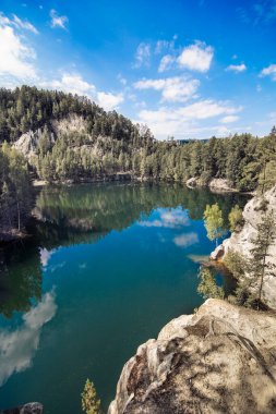 Ormandaki güzel göl. Yaz manzarası. 