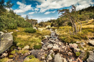 İskoçya 'daki dağ deresi. İskoçya 'nın güzel yaz manzarası.