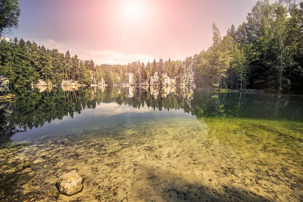 Bellissimo Lago Nella Foresta Paesaggio Estivo — Foto Stock