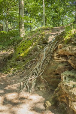 Garmany 'deki Sakson İsviçre Ulusal Parkı