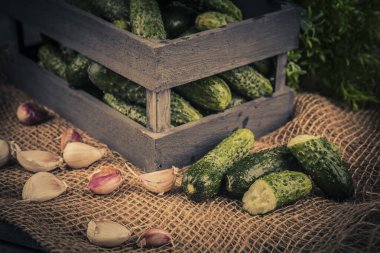 Gri arka planda tahta bir kutuda taze yeşil salatalıklar..