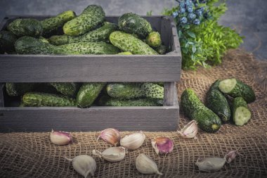 Gri arka planda tahta bir kutuda taze yeşil salatalıklar..