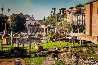Latince adı Forum Romanum olarak da bilinen Roma Forumu, Roma şehrinin merkezinde yer alan çok sayıda önemli antik hükümet binasının kalıntılarıyla çevrili dikdörtgen bir forumdur. İtalya