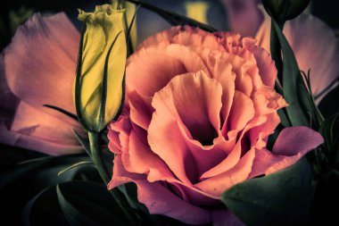 Her yıldönümü ve olay için çiçek dolu renkli bir buket..