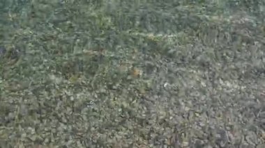 Su yüzeyi dokusu. Bukovel 'deki gölün suyunda dalgalar. Ukrayna 'nın batısında yer alan Doğu Avrupa' nın en büyük kayak merkezidir. Gölde rüzgarla dalgalanan berrak su yüzeyi.