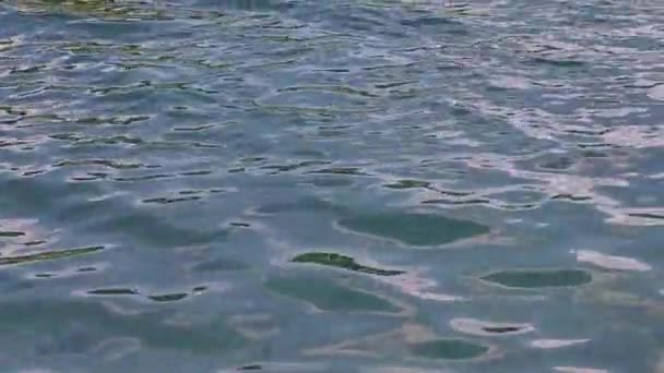 Yüzeyi Dokusu Bukovel Deki Gölün Suyunda Dalgalar Ukrayna Nın Batısında — Stok video