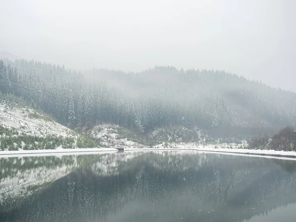 Winter lake and forest in the Carpathians, Ukraine. Landscapes with coniferous forest on a cloudy snowy day. Sights of the modern popular ski resort of Bukovel. Lake near Bukovel in winter.
