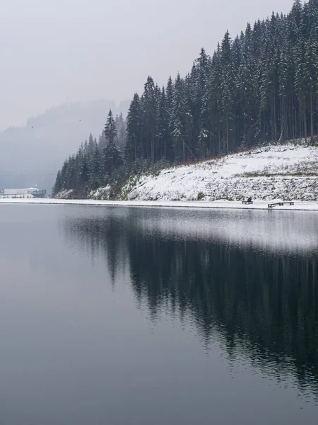 Χειμερινή Λίμνη Και Δάσος Στα Καρπάθια Ουκρανία Τοπία Κωνοφόρα Δάση — Φωτογραφία Αρχείου