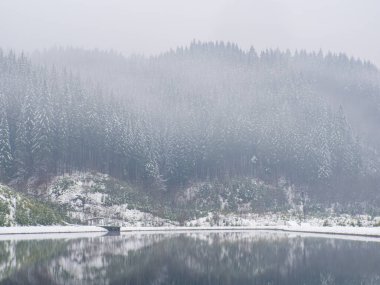 Ukrayna, Karpatlar 'da kış gölü ve orman. Bulutlu bir günde kozalaklı ormanlı manzaralar. Bukovel 'in modern popüler kayak merkezinin manzarası. Kışın Bukovel yakınlarında. 