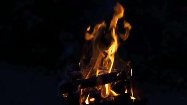 夜は屋外で火の炎を開く 曇りで野生のキャンプ場で暗い地面にキャンプファイヤーの赤い炎 薪でたき火を閉じます 選択的フォーカス 秋のリラックスしたキャンプ気分 — ストック動画