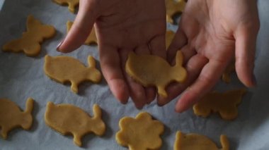Paskalya şekilli kurabiye kesicilerle şekerli kurabiye hamuru kesmek. Tavşan şekilleri. Paskalya hazırlığı. Tatil pişirme. Fırıncı elleri tavşancık şeklinde kabartma tenekesi kullanarak bisküvi yapıyor.