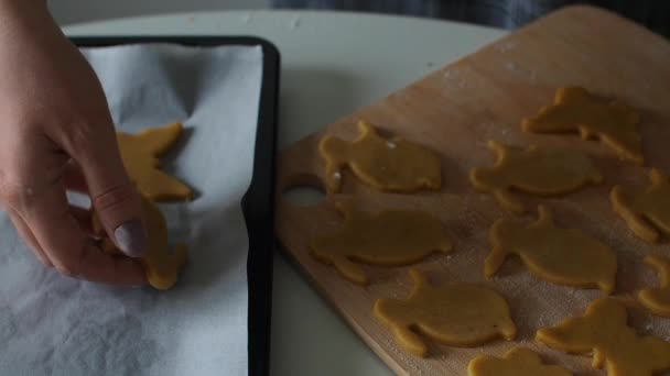 Suikerkoekjesdeeg Snijden Met Paasvormige Koekjessnijders Vormen Van Konijnen Voorbereiding Pasen — Stockvideo