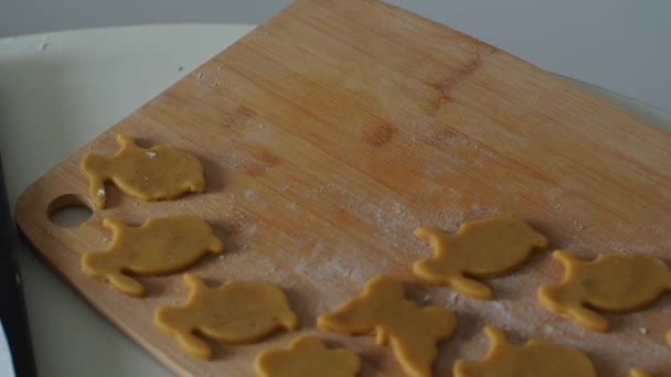 Suikerkoekjesdeeg Snijden Met Paasvormige Koekjessnijders Vormen Van Konijnen Voorbereiding Pasen — Stockvideo