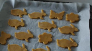 Paskalya şekilli kurabiye kesicilerle şekerli kurabiye hamuru kesmek. Tavşan şekilleri. Paskalya hazırlığı. Tatil pişirme. Fırıncı elleri tavşancık şeklinde kabartma tenekesi kullanarak bisküvi yapıyor.