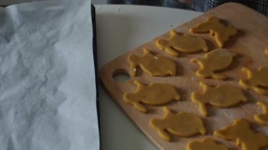Paskalya şekilli kurabiye kesicilerle şekerli kurabiye hamuru kesmek. Tavşan şekilleri. Paskalya hazırlığı. Tatil pişirme. Fırıncı elleri tavşancık şeklinde kabartma tenekesi kullanarak bisküvi yapıyor.