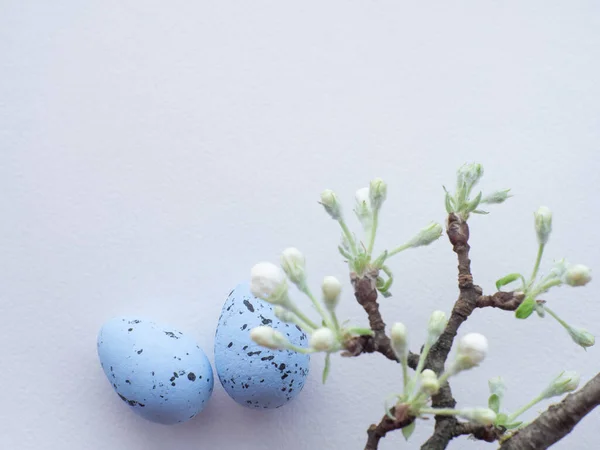 stock image Happy Easter, white concept. Easter decorations on white background with copy space. Easter greating card. Flat lay. Apple tree twig and two blue eggs. Celebrating Easter holidays.
