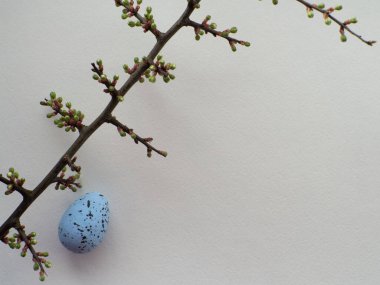 Mutlu Paskalyalar, beyaz konsept. Beyaz arka planda paskalya süslemeleri ve fotokopi alanı. Paskalya tebrik kartı. Düz yatıyordu. Blackthorn dalı ve mavi yumurta. Paskalya tatilini kutluyoruz..