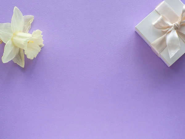 Daffodils Квітка Подарунковий Ящик Бузковому Фоні Копіювальним Простором День Матері — стокове фото