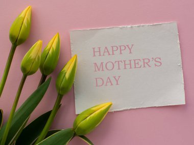 Sarı yeşil laleler pembe arka planda çiçekler Mutlu anneler günü beyaz kağıtta. Kadınlar ve Anneler Günü tebrik kartı. Tebrik ederim. Annem için dilek tutuyorum..