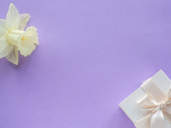 Daffodils Flor Caixa Presente Fundo Lilás Com Espaço Cópia Cartão — Fotografia de Stock