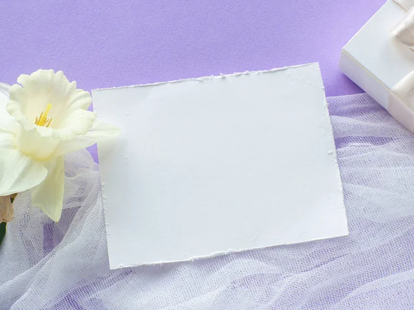 Daffodils flower and gift box on lilac background with copy space. Women and Mothers Day greeting card. Place for text and narcissus on purple background. Birthday congratulations note flat lay.
