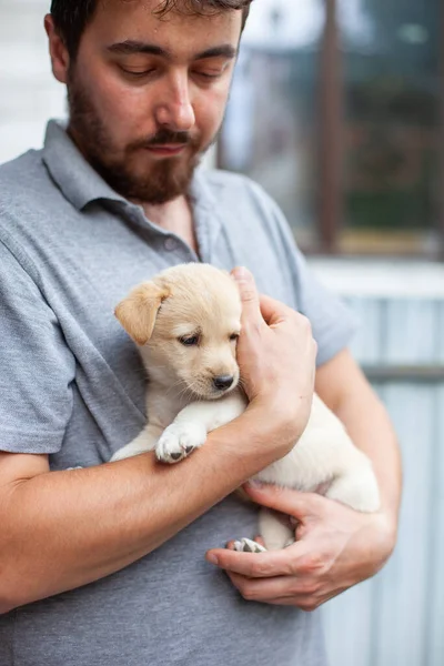 Man Holding Cute Beige Puppy Hands Homeless Little Dog Outdoor — Stock Photo, Image