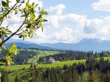 Bulutlu gökyüzü ile Karpatya manzarası. Ormanın yakınındaki dağlarda yeşil çayırlar. Carpathian bölgesinde yaşam tarzı. Ekoloji koruma konsepti. Dünyanın güzelliğini keşfet..
