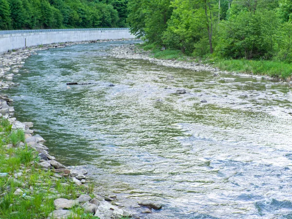 stock image View of the mountain river Chorna Tysa. Beautiful Black Tisa river in the Rakhiv region of the Transcarpathian oblast. Summer landscape. Ukraine. Tisza, Tysa. Selective focus.