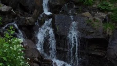 Cascade Trufanets Şelalesi. Ukrayna Karpat Dağları 'ndaki şelale manzarası. Su kayaların üzerinden güzel bir şekilde akar. Dağ nehri. Dağlarda güzel büyük bir şelale.