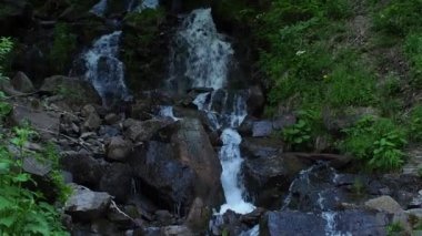 Cascade Trufanets Şelalesi. Ukrayna Karpat Dağları 'ndaki şelale manzarası. Su kayaların üzerinden güzel bir şekilde akar. Dağ nehri. Dağlarda güzel büyük bir şelale.