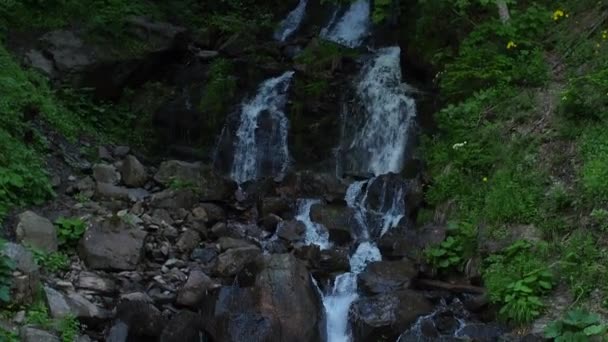 캐스케이드 트레이 우크라이나 카르파티아 산맥의 아름답게 흐릅니다 마운틴 아름다운 — 비디오