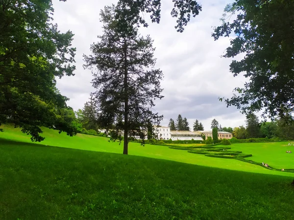 Grünes Gras Bäume Und Beschnittene Büsche Dendrologischen Nationalpark Sofiyivka Uman — Stockfoto
