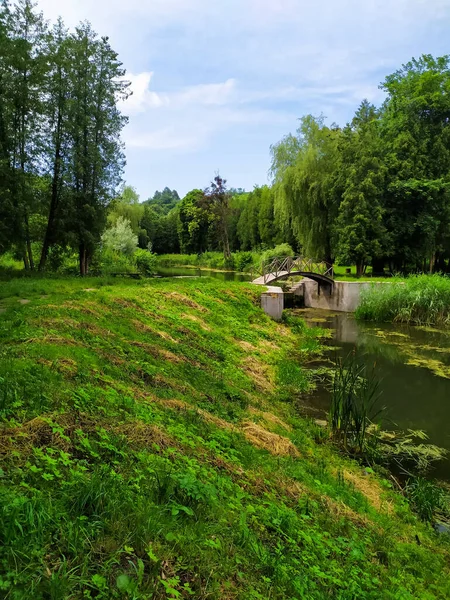 夏天的Berezhansky植物园乌克兰Ternopil地区Berezhany Rai村公园 — 图库照片
