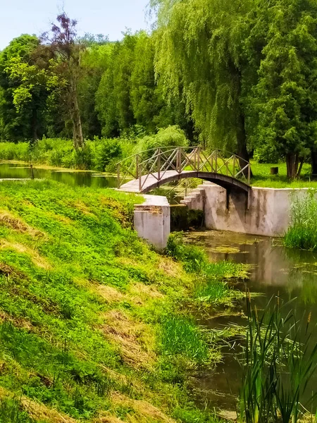 Yazın Berezhansky Botanik Bahçesi Rai Köyüne Park Berezhany Ternopil Bölgesi Telifsiz Stok Fotoğraflar
