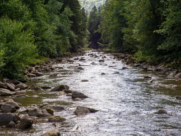 小さな川は 野生の石の谷をすばやく生き生きと流れています 野生の広葉樹林がその経路に沿って川に付随している 大規模な転位岩の川底に入ります カルパティア人 ウクライナ — ストック写真