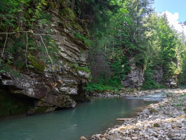 Yazın Karpatya dağlarında nehir ve yeşil ağaçlı kanyon manzarası. Ukrayna 'daki güzel kayalık kanyon. Seyahat, yürüyüş, macera. Nehir kozalaklı ağaçların arasından kanyonda akıyor..