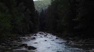 Küçük nehir taşlı vadisinden hızla ve canlı bir şekilde akıyor. Vahşi orman yolu boyunca nehre eşlik eder. Nehir yatağında büyük yerinden çıkmış kayalar bulunur. Karpatlar, Ukrayna