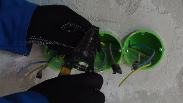 家庭電気システムで働く専門の電気技師 壁のドリル穴に挿入されたソケットやスイッチのための緑の丸いプラスチック製のバックボックス 新しい電気インストール リニューアルコンセプト — ストック動画