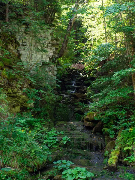 Зеленый Лесной Пейзаж Горным Ручьем Небольшими Водопадами Камнями Покрытыми Мхом — стоковое фото